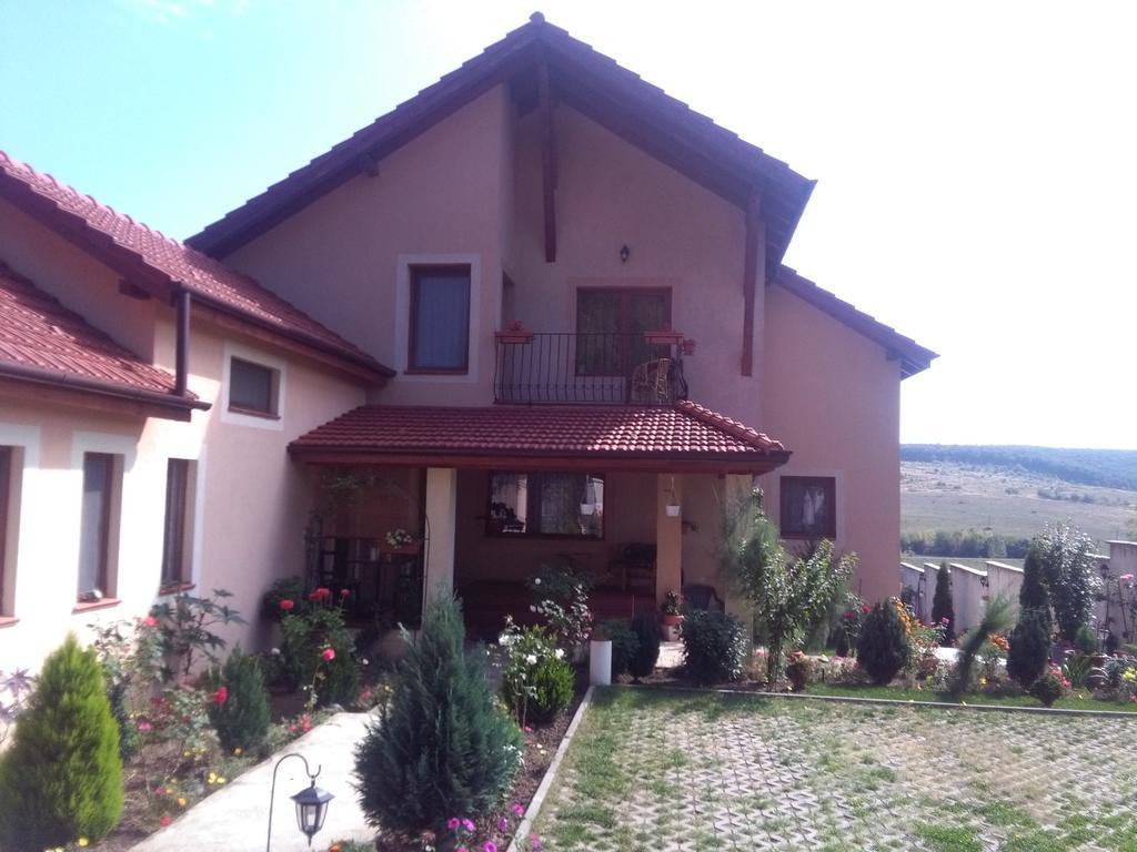 Апартаменты Casa Doina Баиле Феликс Экстерьер фото